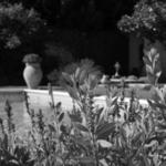 dsc00872