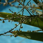 dsc00901